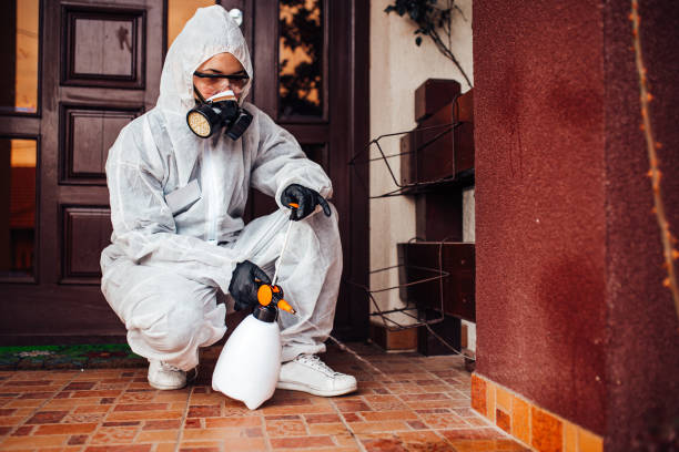Reliable Rodent Control contractor in Canton, SD by Nex Pest Control